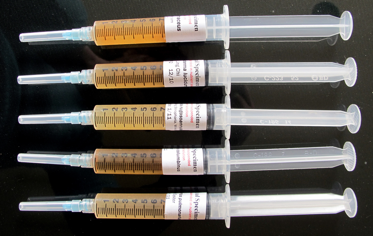 culture syringes